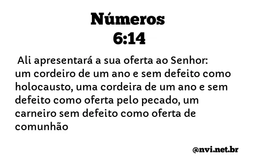 NÚMEROS 6:14 NVI NOVA VERSÃO INTERNACIONAL