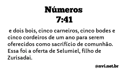 NÚMEROS 7:41 NVI NOVA VERSÃO INTERNACIONAL