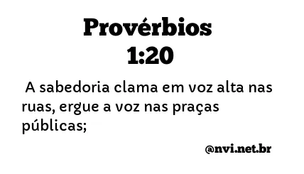 PROVÉRBIOS 1:20 NVI NOVA VERSÃO INTERNACIONAL