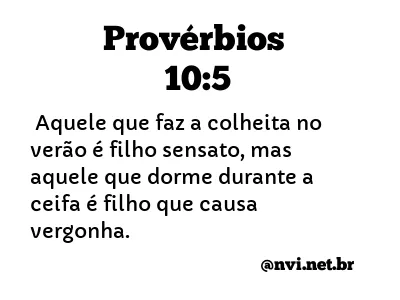 PROVÉRBIOS 10:5 NVI NOVA VERSÃO INTERNACIONAL