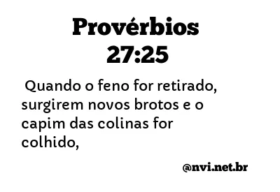 PROVÉRBIOS 27:25 NVI NOVA VERSÃO INTERNACIONAL