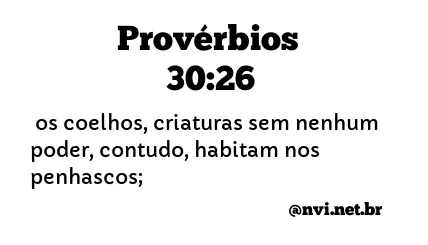 PROVÉRBIOS 30:26 NVI NOVA VERSÃO INTERNACIONAL