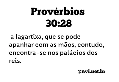 PROVÉRBIOS 30:28 NVI NOVA VERSÃO INTERNACIONAL