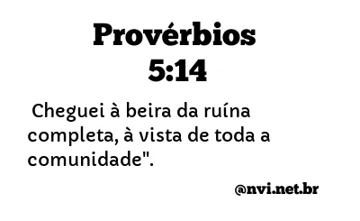 PROVÉRBIOS 5:14 NVI NOVA VERSÃO INTERNACIONAL