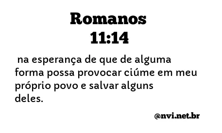 ROMANOS 11:14 NVI NOVA VERSÃO INTERNACIONAL