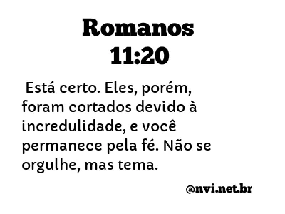 ROMANOS 11:20 NVI NOVA VERSÃO INTERNACIONAL