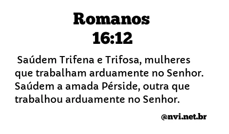 ROMANOS 16:12 NVI NOVA VERSÃO INTERNACIONAL