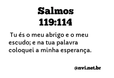 SALMOS 119:114 NVI NOVA VERSÃO INTERNACIONAL