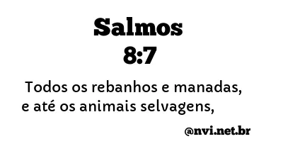 SALMOS 8:7 NVI NOVA VERSÃO INTERNACIONAL