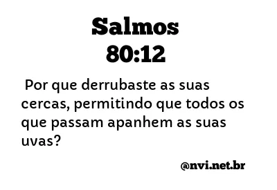 SALMOS 80:12 NVI NOVA VERSÃO INTERNACIONAL