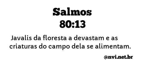 SALMOS 80:13 NVI NOVA VERSÃO INTERNACIONAL